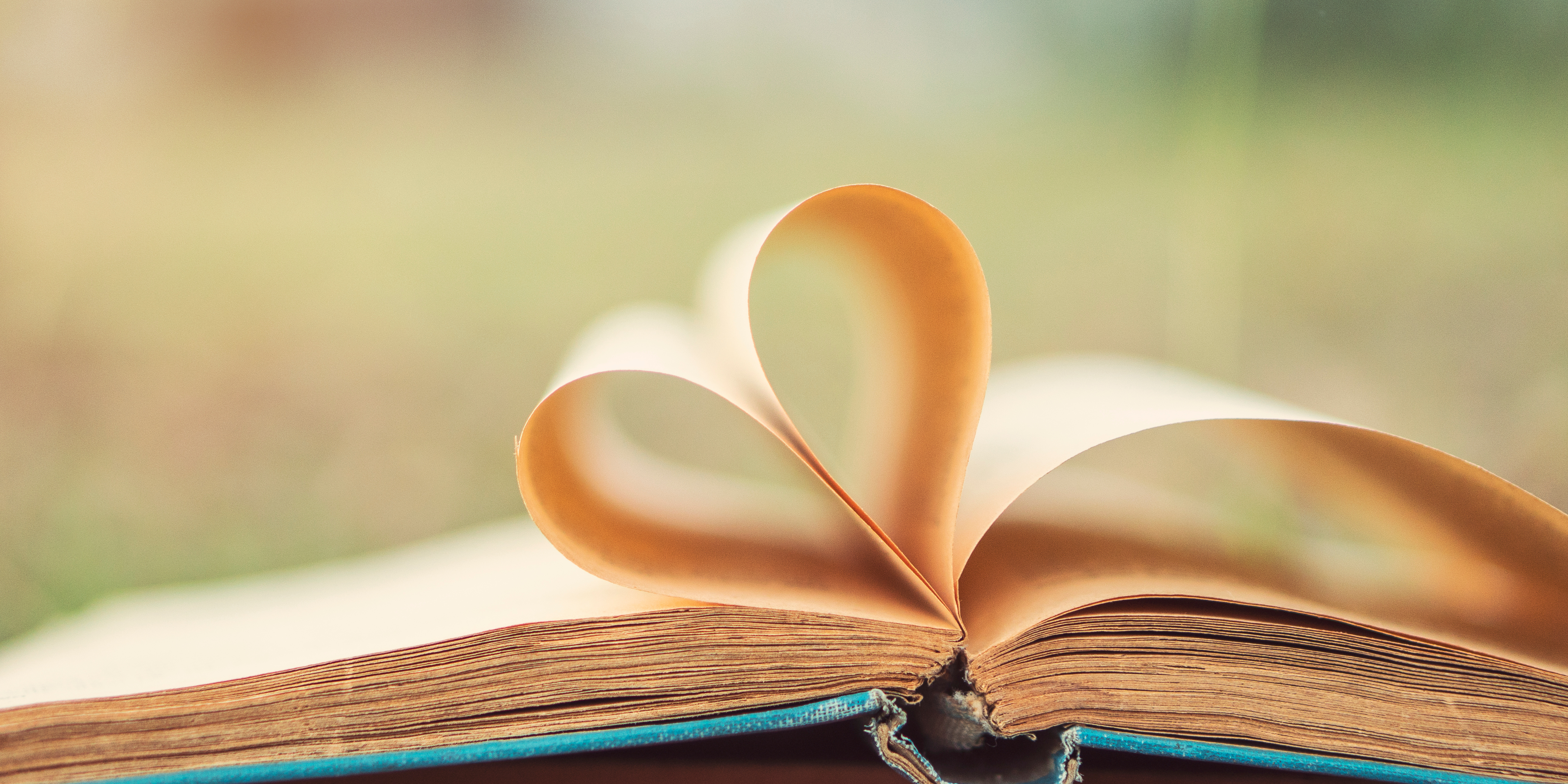 heart shaped pages of a book